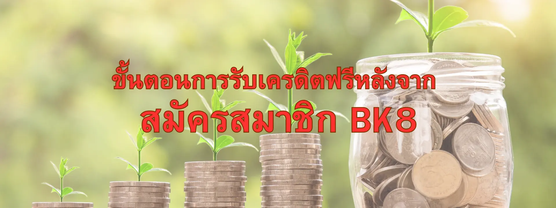 ขั้นตอนสมัครสมาชิก BK8